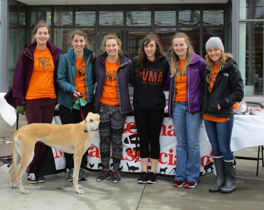 OSU's Pre-Veterinary Medicinal Association offered both a 5k run and a fun run for community members to participate in on Saturday, Nov. 12. 