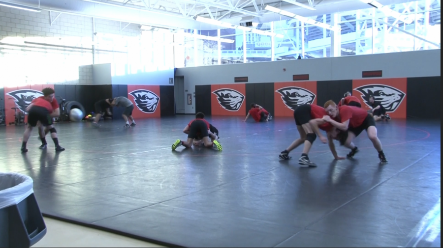 The OSU Wrestling team prepares for their match against the Stanford Cardinal