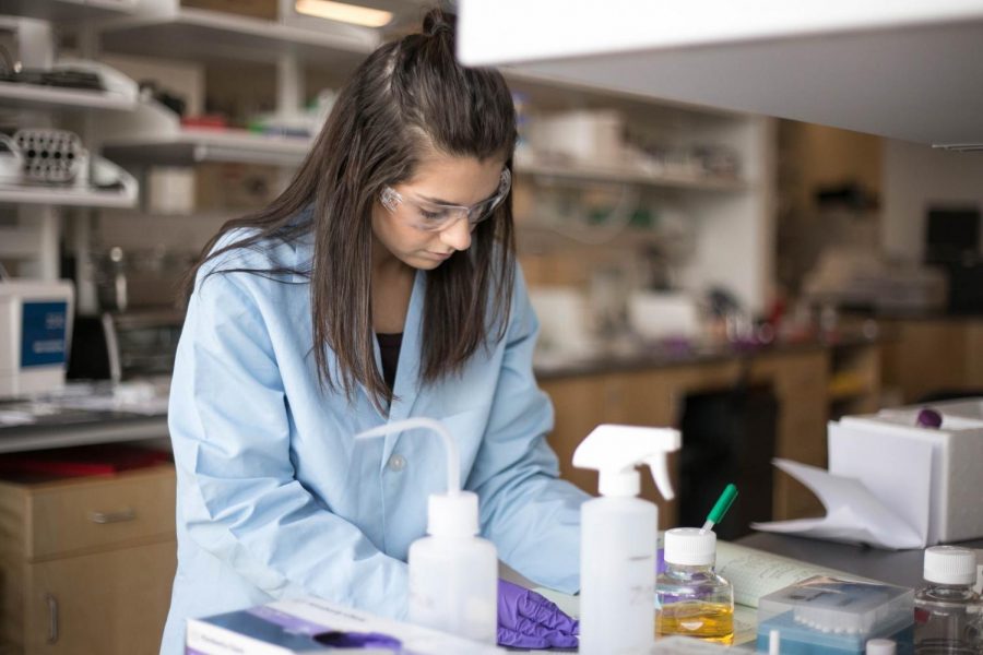Undergraduate researcher Amy Olyaei writes down observations in her laboratory notebook. Olyaei is a pre-medical student in her second year of research, working in tandem with Raman in the Schilke laboratory. 