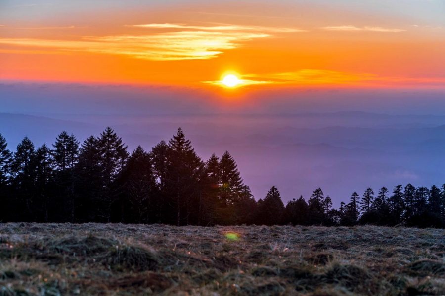 Local hiking spot Marys Peak won second place in the best hiking spot category. 