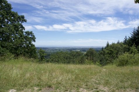The City of Corvallis as viewed from the top of Bald Hill. Clearings atop the hill allow for hikers to see the views from nearly all around the summit, including the sun as it goes down.