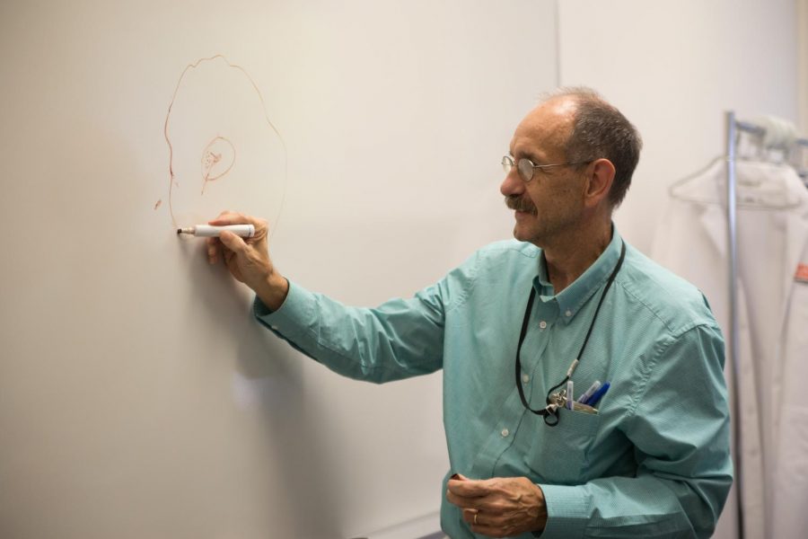 Dr. Luiz Bermudez is a head of the department of biomedical sciences and co-author of a research paper on nontuberculous mycobacteria. Bermudez draws a cell and the protein channel explained in the paper on a whiteboard.