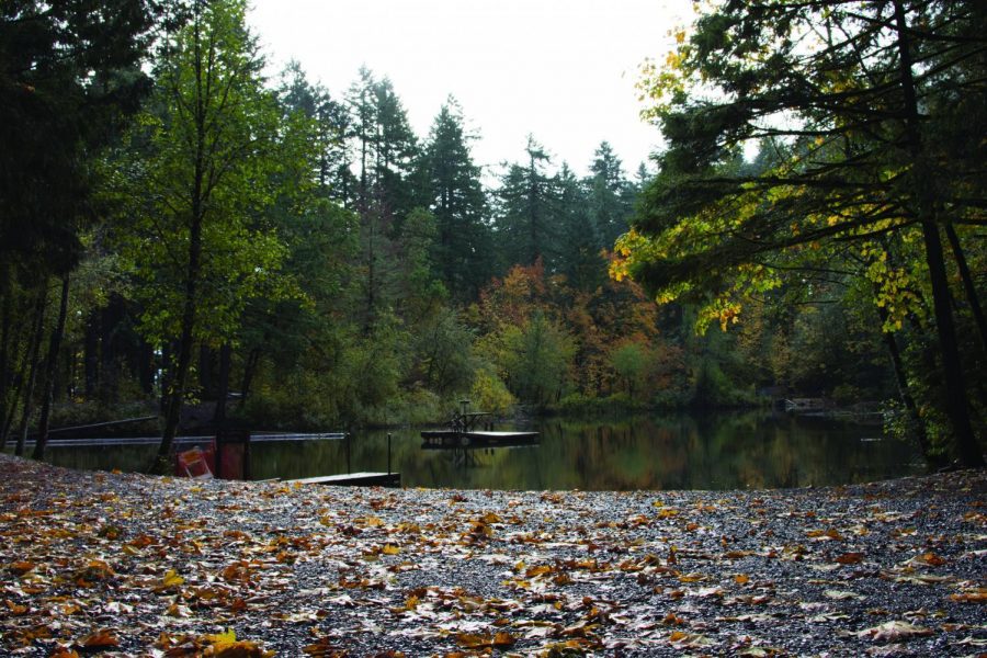 Fall foliage surrounding the Cronemiller Lake, located within Peavy Arboretum and the McDonald Forest. Oregon State University’s Logging Sports Team practices at an outdoor facility adjacent to Cronemiller and uses the lake for birling, or log rolling.