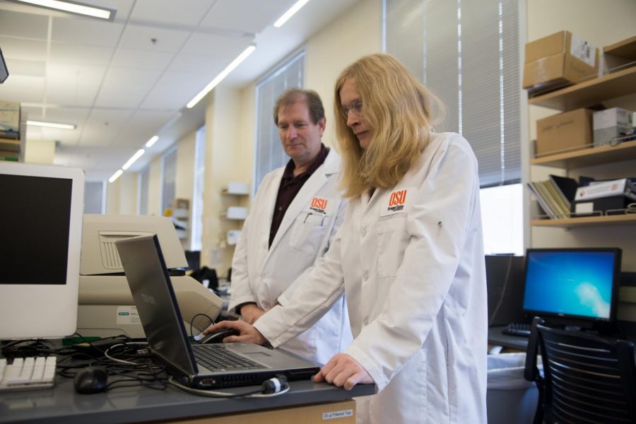 (Left) Dr. Fritz Gombart and (right) Isabelle Logan, OSU second year graduate student, study their results from the Polymerase Chain Reaction machine to measure gene expression. Gombart and Logan have been designing vitamin D-laden bandages and sutures, which have shown to speed up the healing process of wounds. 