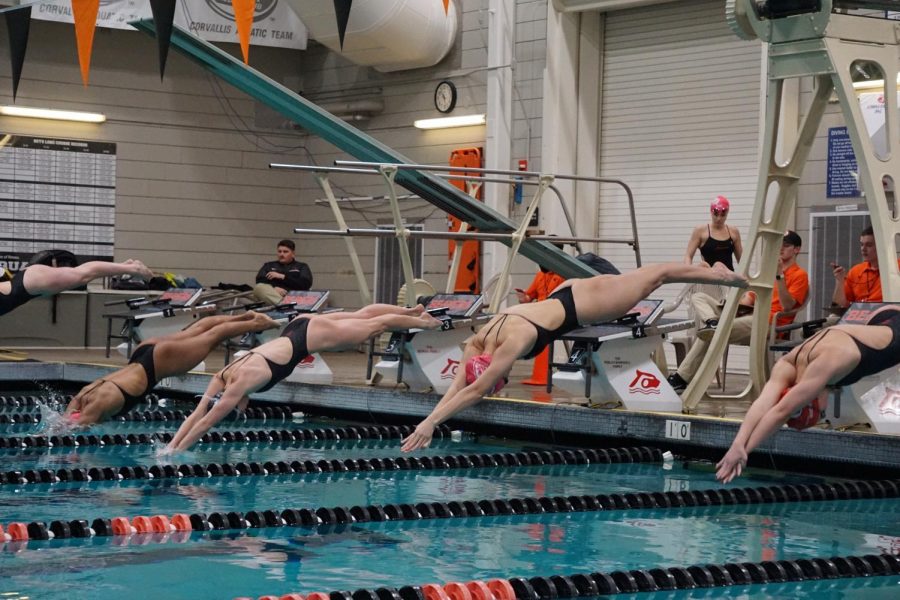 Swimmers dive into the Osborn Aquatic Center pool to race. Utah walked away from the meet with a 143-93 win for OSU’s final regular season meet.