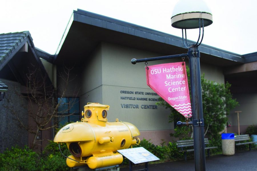 The Hatfield Marine Science Center is located at 2030 SE Marine Science Drive in Newport, Ore.