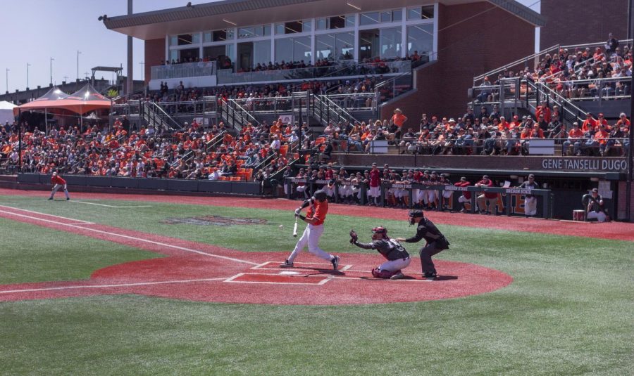Oregon State junior catcher Adley Rutschman takes a swing at a pitch from a Washington State pitcher. Rutschman currently has 14 home runs this season, overcoming his 2018 tally of nine. 