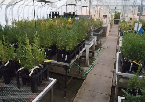 Conducting agriculture research in a greenhouse allowes researchers to grow almost any plant that grows in Oregon.  