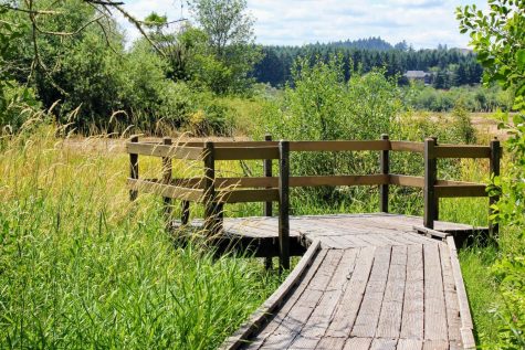 JACKSON FRAZIER WETLAND: 3600 NE LANCASTER ST, CORVALLIS6) Operated by Benton County Natural Areas & Parks with land acquisition help from the Green Belt Land Trust, this recreational area of 147 acres offers a boardwalk, interpretive signs and wildlife and plant viewing.