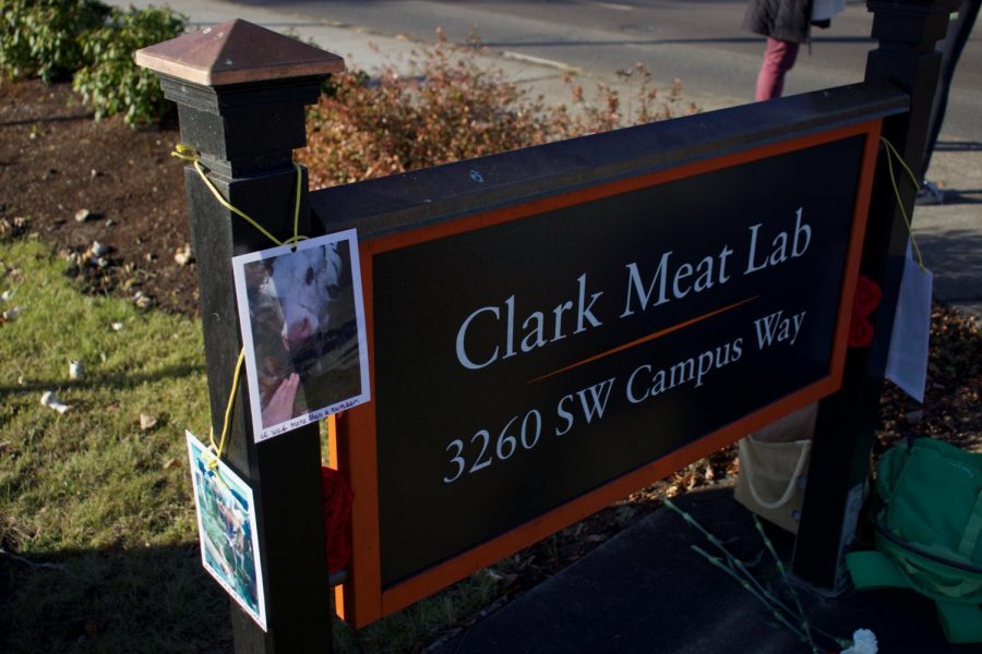 Photos of animals killed by the OSU slaughterhouse hang on the Clark Meat Lab sign. This acted as a memorial of all the animals that were slaughtered there.