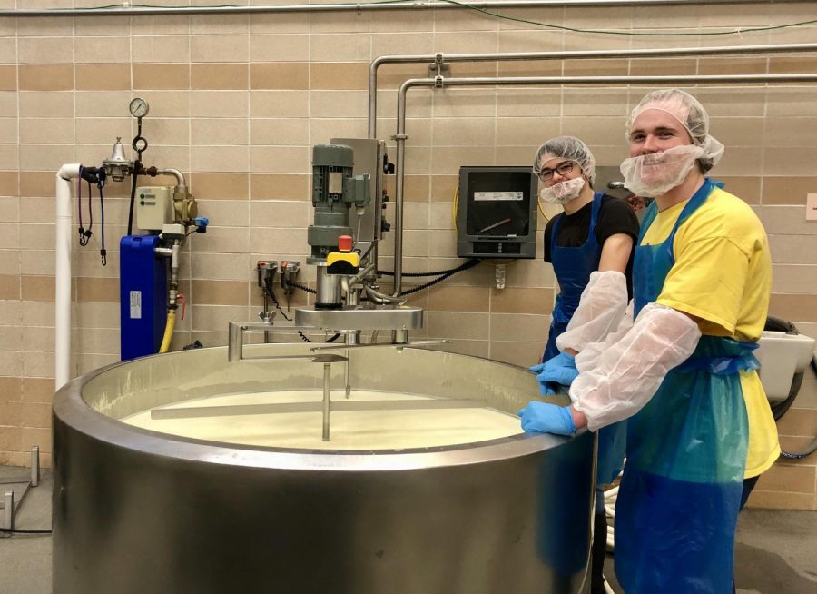 Aidan Long (left) and Terran Walker (right) show the milk that they are fermenting to make cheese. The cheese is being made in the Dairy Center located in Withycombe Hall.