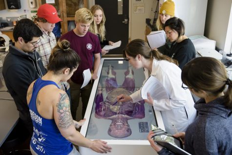 Anatomage table is used during an anatomy class at OSU-Cascades.