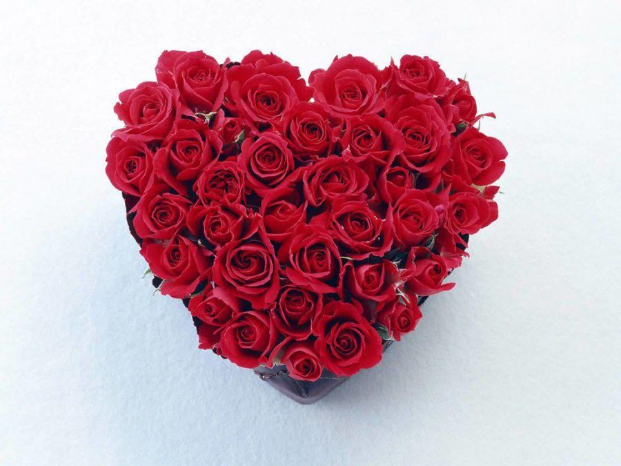 valentines heart