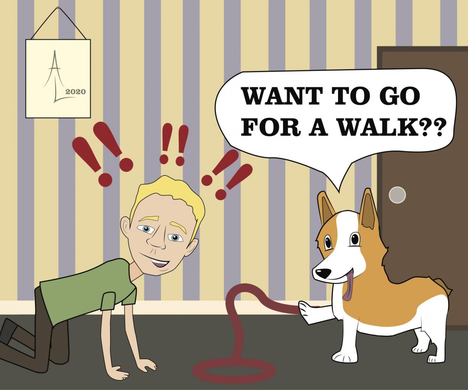 Left-Handed Vision: Go For a Walk