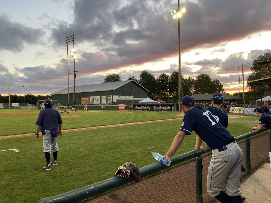 Members of the Portland Pickles watch on during a July 12, 2020 game against the Gresham GreyWolves. The Pickles would go on to win 6-1.