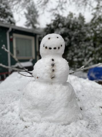 A snow man seen outside a house on SW Kings Street enjoying the Corvallis snow. 