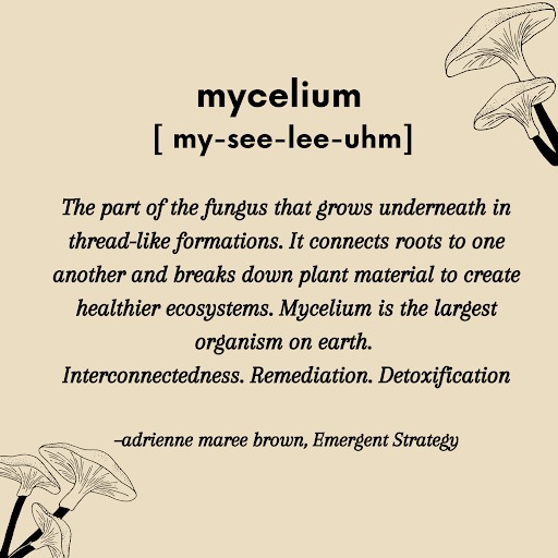 Mycelium definition