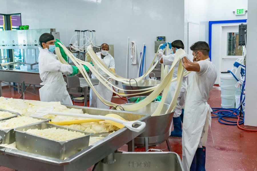 Workers at Don Froylan’s Creamery in the middle of the cheese-making process. Don Froylan produces a line of several cheese products, some of which are served at OSU McNary Dining Hall’s La Calle Restaurant.
