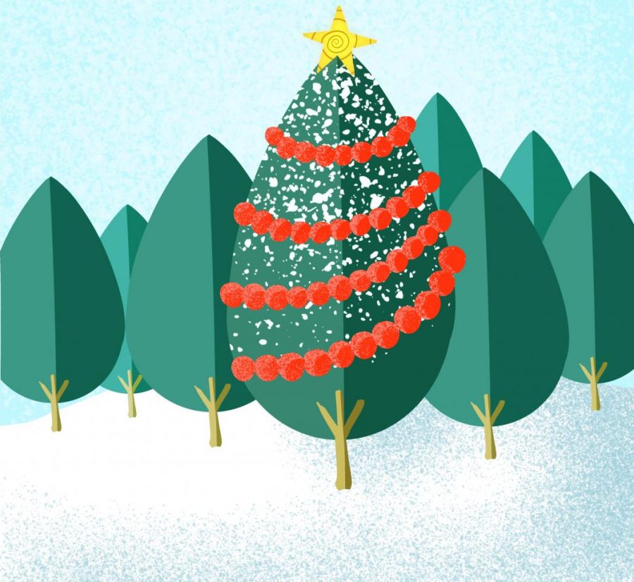 Illustration showing several Christmas trees with one in front decorated with red garlands, white snow a star. There is much debate over when the right time to celebrate Christmas is.
