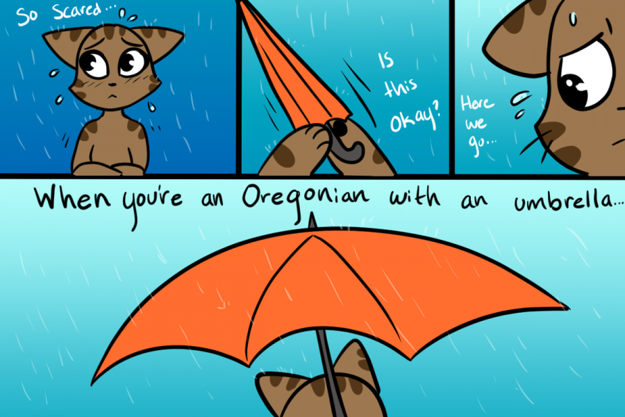 Cocos Adventures: Why Can We Not Use Umbrellas?!