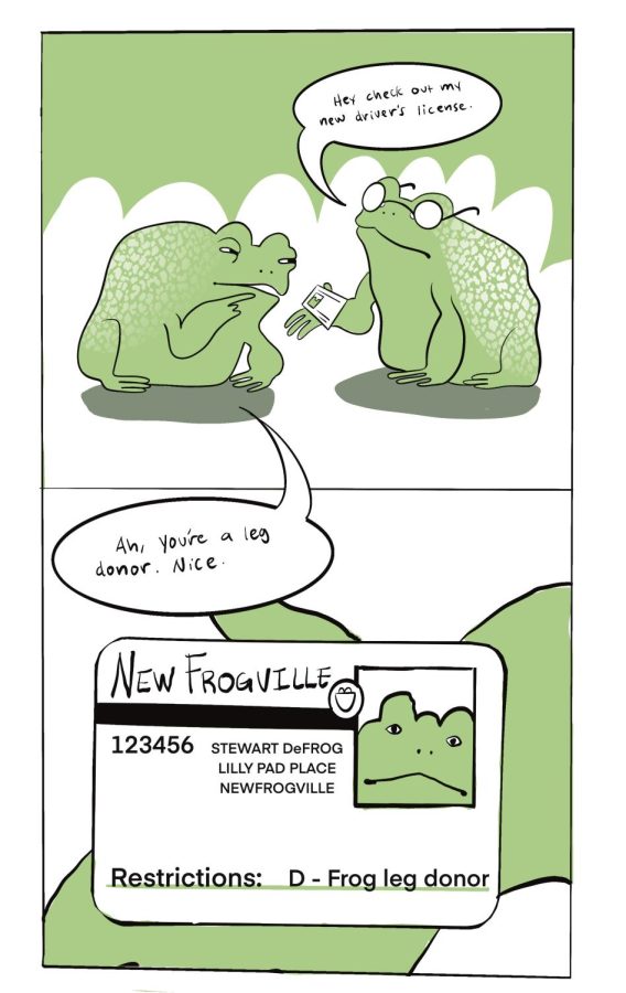 Frog World: Frog Leg Donor