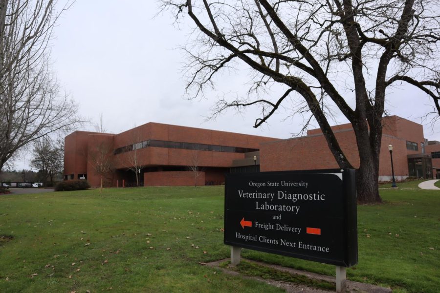 Pictured is the Oregon Veterinary Diagnostic Laboratory that is located on the Southwest side of the Oregon State University campus. The OVDL specializes in identifying animal-borne diseases and surveys wildlife and domestic livestock for diseases that could be potentially harmful to humans. 