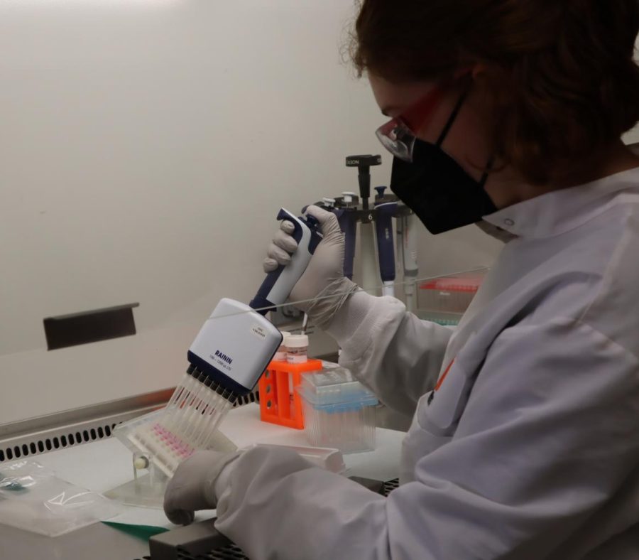 An Oregon State University student who works at the Oregon Veterinary Diagnostic Labratory takes samples. The OVDL tracks the emergence of animal -borne diseases, such as COVID-19.