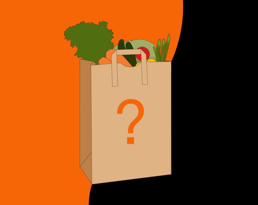 This illustration depicts a grocery bag full of veggies. Finding affordable, healthy food can  be confusing and challenging as a college student with limited time and resources. 