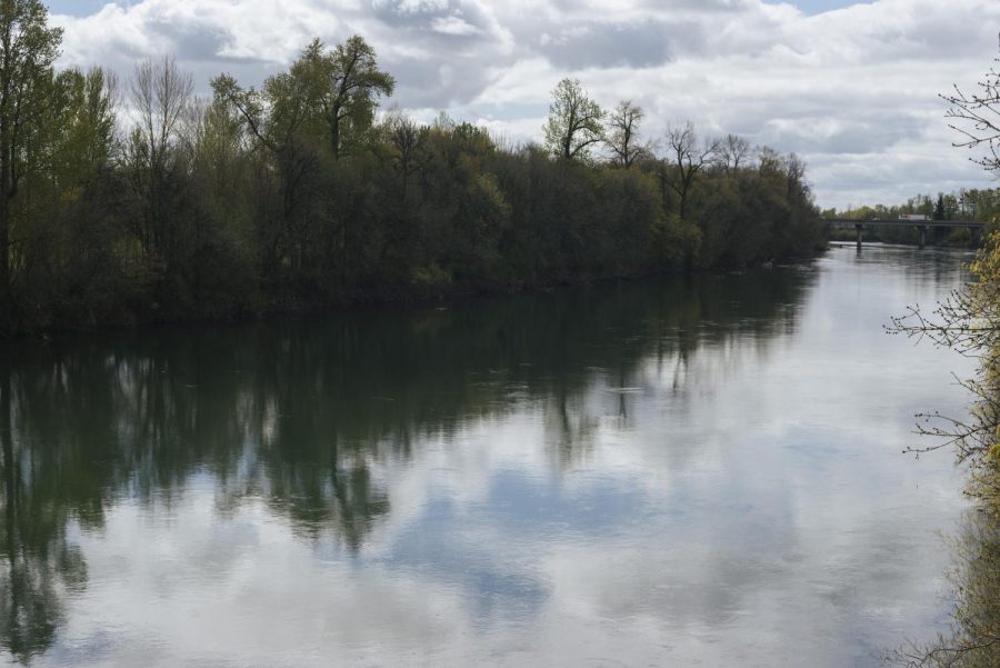 A view of the east side of the Willamette River from the west bank near First Street and Jackson Avenue in Corvallis, Ore. on April 2. The Benton County Sheriffs Office is asking for the publics help in identifying a body found on the east side of the Willamette River across from First and Jackson.  