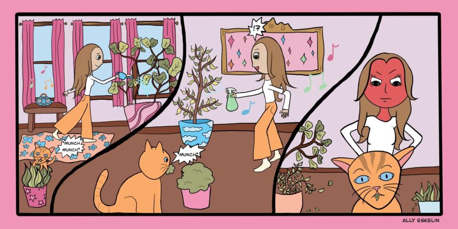 Contented Content: Cat vs. Plant