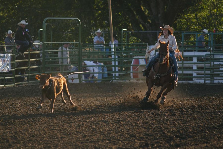 A+rider+buckled+in+at+the+Benton+County+Fair+and+Rodeo+in+Corvallis%2C+Ore.+on+August+4%2C+2022.+The+rodeo+consisted+of+events+such+as+steer+wrestling%2C+tie-down+roping%2C+breakaway+roping%2C+barrel+racing%2C+pole+bending%2C+team+roping%2C+and+much+more.