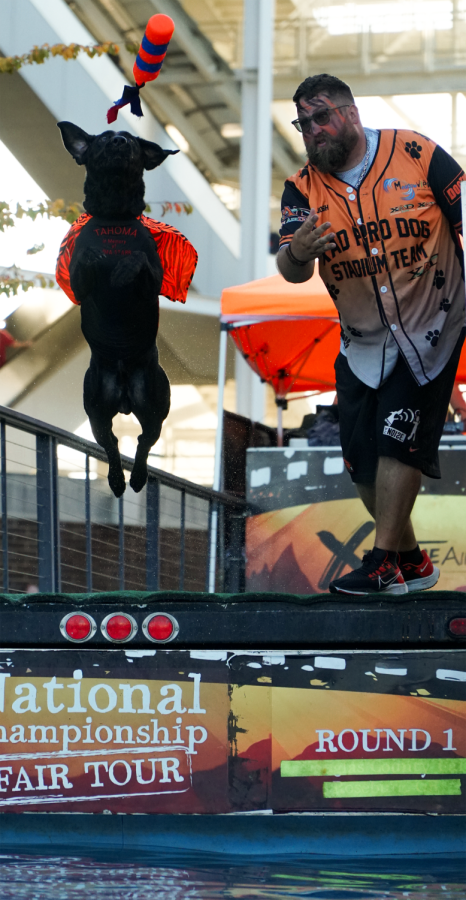 Dogs are seen jumping into a pool of water at the Oregon State Beaver Block Party, in front of Reser Stadium on Saturday, Sept. 24, 2022. The Beaver Block Party featured many activities and shows such as the dogs jumping into the water. 