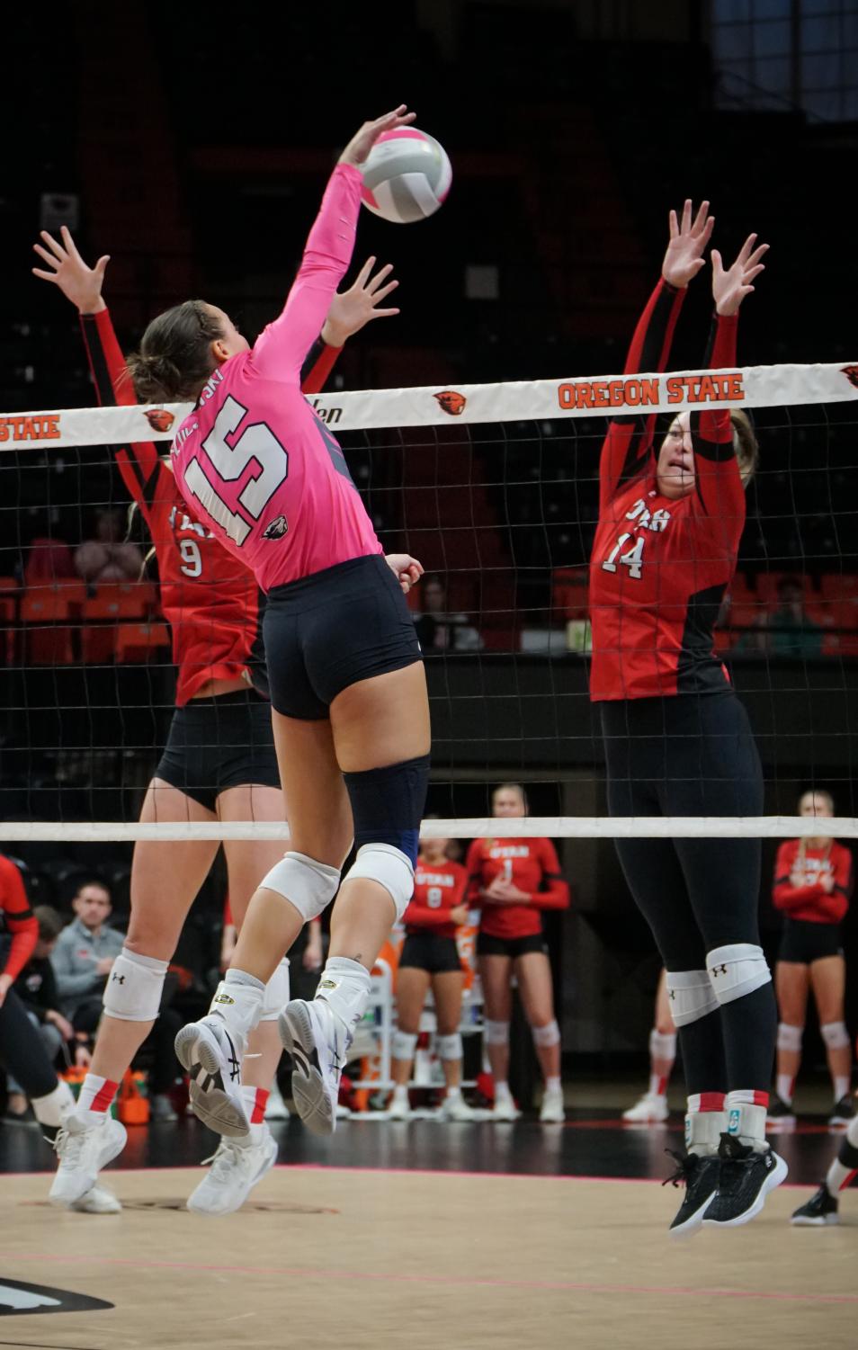 Oregon State volleyball splits the weekends action with win against