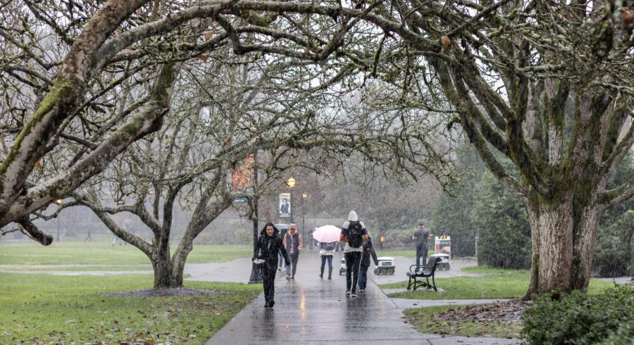 People rush through the snow on Thursday in front of the Memorial Union. A blip of snow hit Corvallis on the first day of December which seemed to catch everyone off guard.
