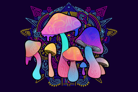 Hallucinogenic mushrooms have been legalized in the state of Oregon as a result of Measure 109. This illustration shows a group of brightly colored and heavily patterned mushrooms.