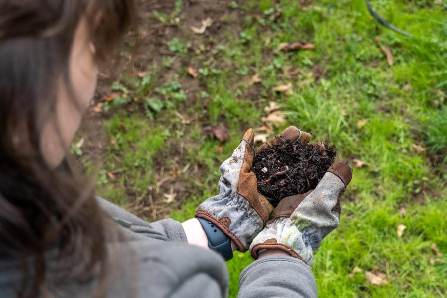 A+photo+illustration+of+someone+holding+compost+in+Corvallis%2C+OR+on+Mar.+23rd.%0AA+great+way+to+minimize+your+food+waste+could+be+by+making+compost.