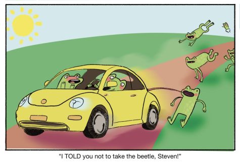 Frog World: The Beetle