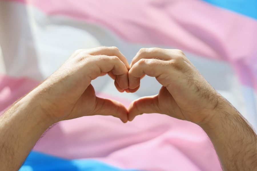 A staged image of a hand making a heart in front of a transgender flag photographed on June 1 in the SEC Plaza.