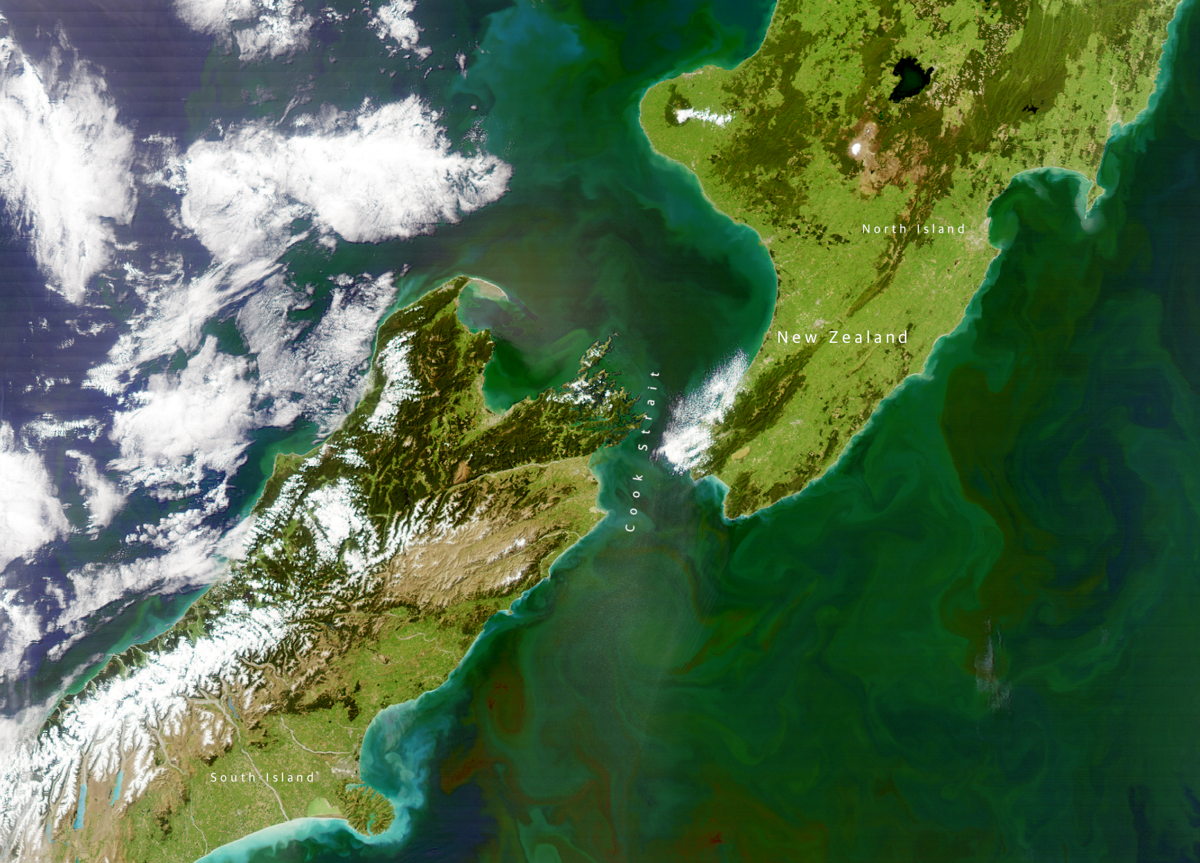 Phytoplankton blooms along the coasts of New Zealand as captured by the Moderate Resolution Imaging Spectroradiometer onboard NASA’s Aqua satellite. Scientists used images from the satellite to understand changes in the oceans color.