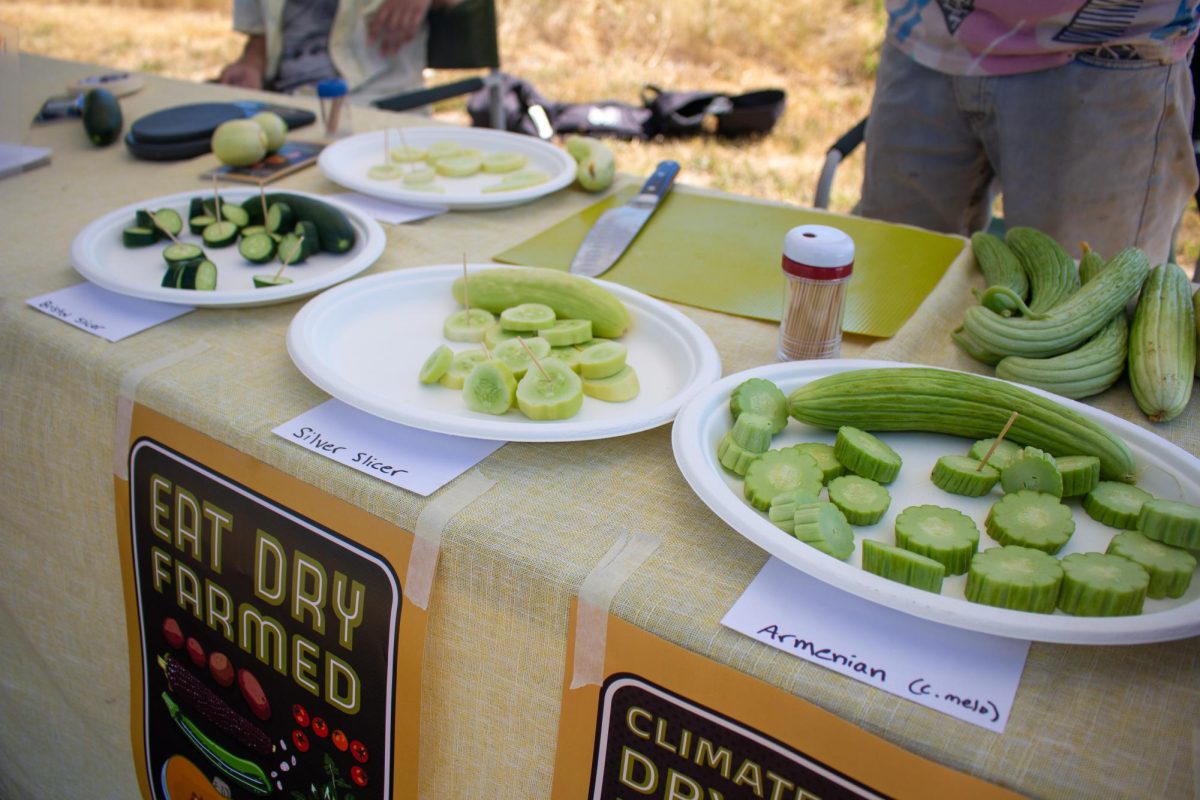 Samples of vegetables offered at a booth promoting Oregon State University’s dry farming research, photographed at the Oak Creek Center for Urban Horticulture Open House on July 13 in Corvallis.