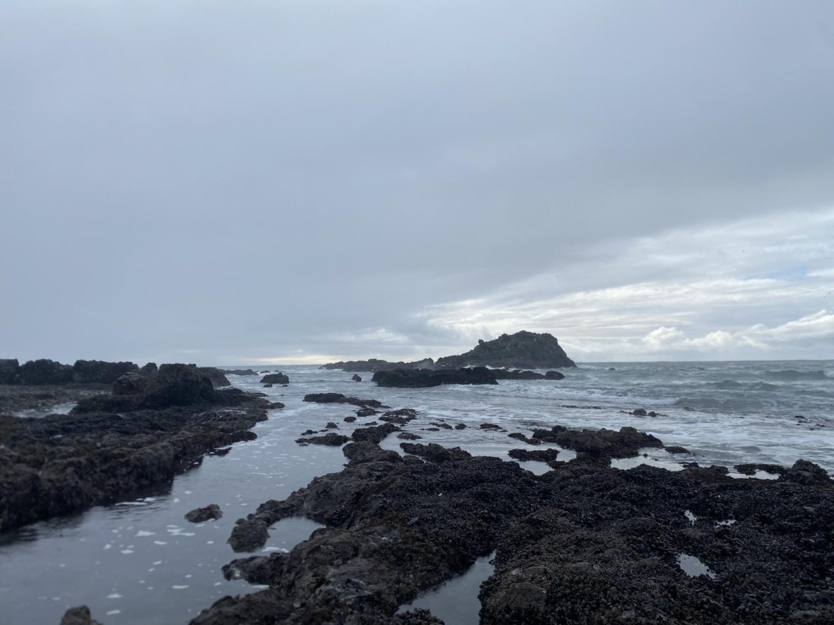 Photo of Otter Rock located north of Newport at Oregon Coast on Jan. 18. Newport is less than 50 miles away from Oregon State University and has many opportunities for activities throughout the summer to keep cool.