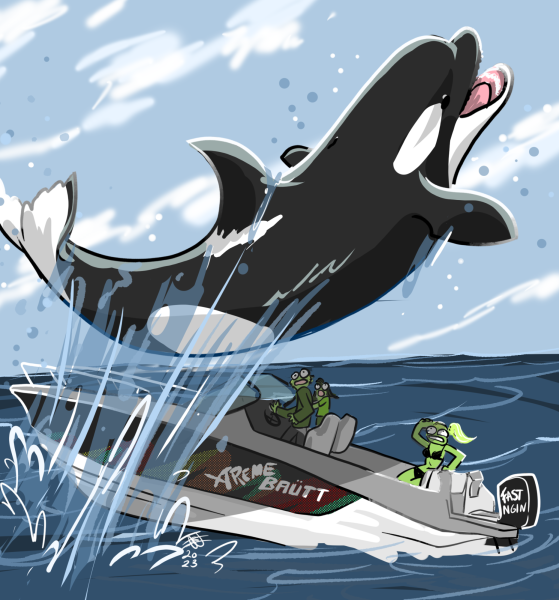 No, the orcas aren’t attacking boats, researchers say