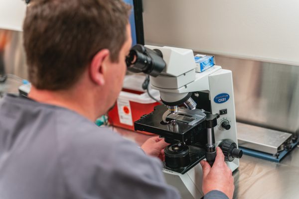 Jason Warkentin, a medical technologist, demonstrates a microscopic examination of a urine sample at the new Oregon State University Health Center in Corvallis on Aug. 25.