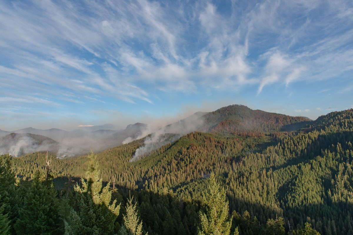 Photo supplied by Benjamin Nash, an ecologist for the US Forest Service.