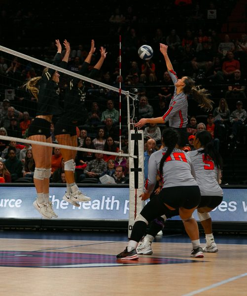 Amanda Burns, an opposite hitter for Oregon State University volleyball, spiking the ball on November 3, 2023 at Gill Coliseum.