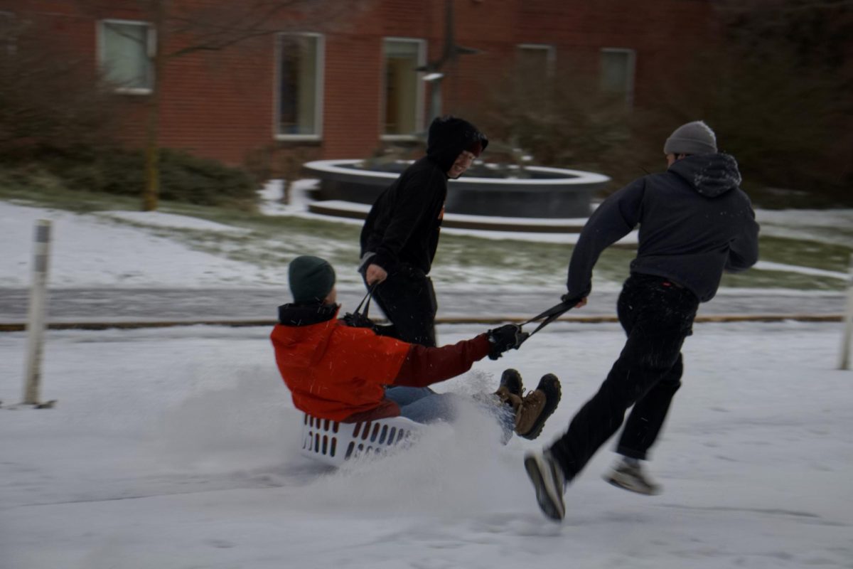 Oregon State University students come together to find creative ways to sled down the hill outside of Sell Hall at Oregon State University on January 13, 2024. 