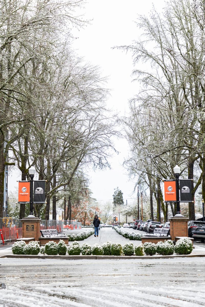 A pedestrian passes through The Gateway Walk on a snowy Friday morning, March 1 in Corvallis, Oregon.
