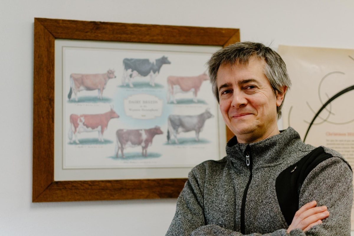 Dr. Massimo Bionaz smiles in front of a cow illustration in his office in Weniger Hall on February 23, 2024. Dr. Bionaz led a research project studying the effects of feeding hemp biomass to cows.