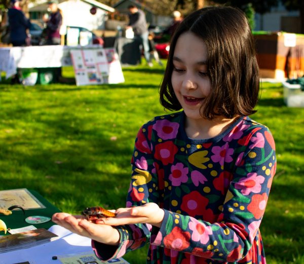 A local Corvallis child holds a cockroach during a Wildlife Days activity at Lily Park in Corvallis, Oregon, March 8, 2024.
