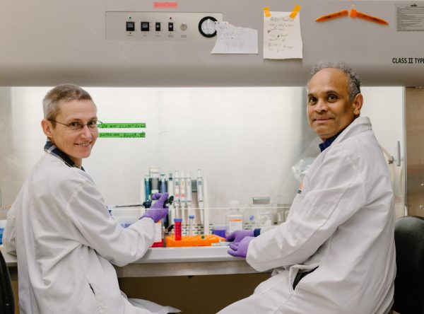 Dr. Christiane Löhr (left) and Dr. Siva Kolluri prepare for cell culture work in the Kolluri Laboratory in the Agriculture and Life Sciences Building on April 12, 2024.